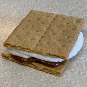A smore with marshmallow and chocolate melted between two graham crackers.