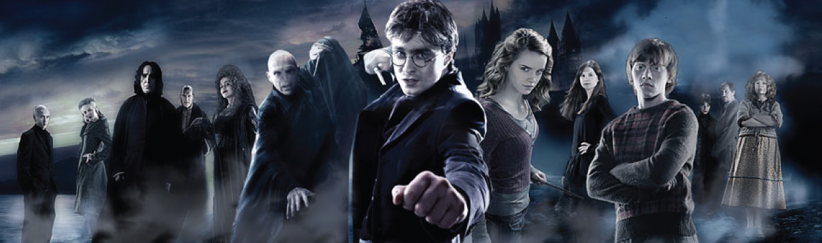 Harry Potter Movie Marathon (December 2018), Fountaindale Public Library