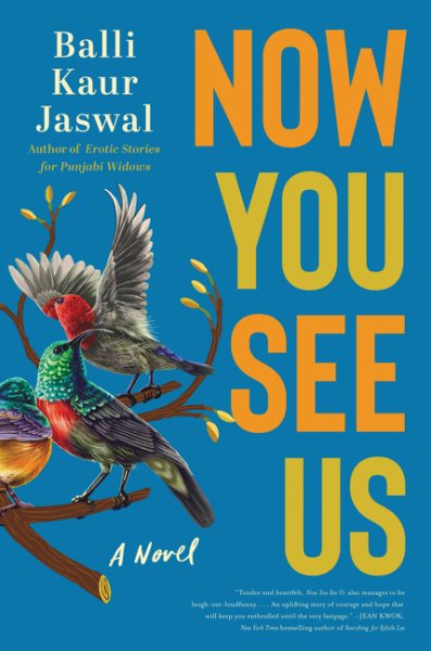Book Review: Now You See Us by Balli Kaur Jaswal, Fountaindale Public Library