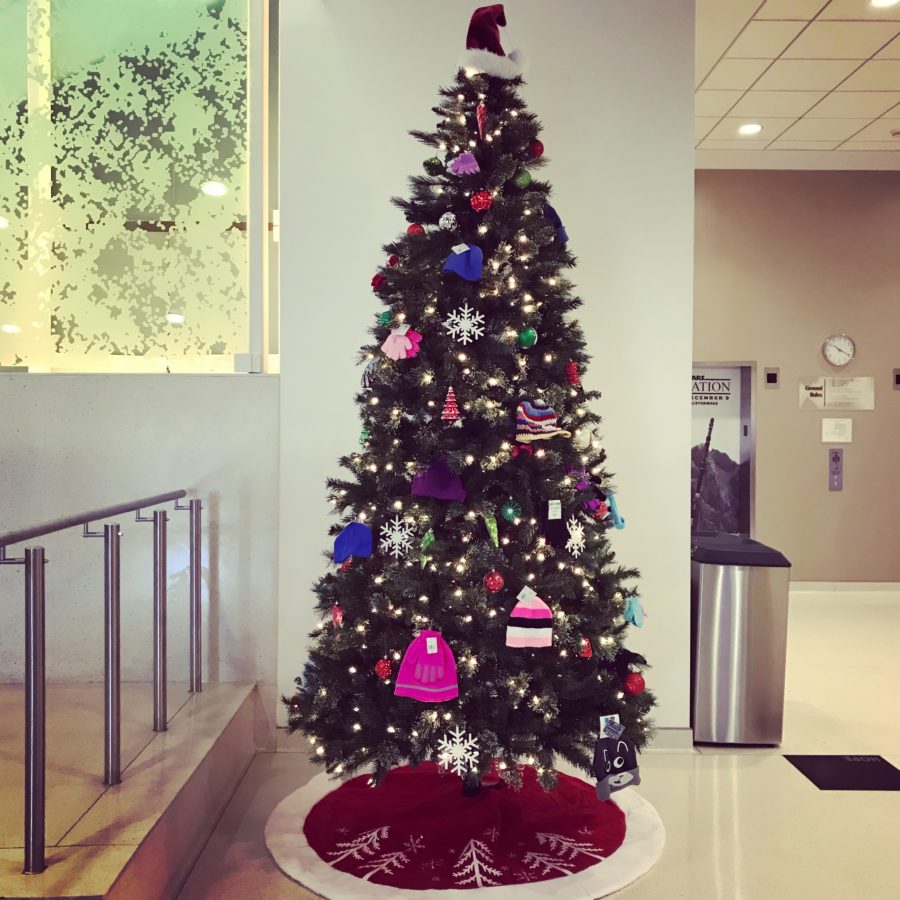 Mittens for Fines, Fountaindale Public Library