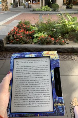 A Librarian&#8217;s Unpopular Opinion on eBooks
