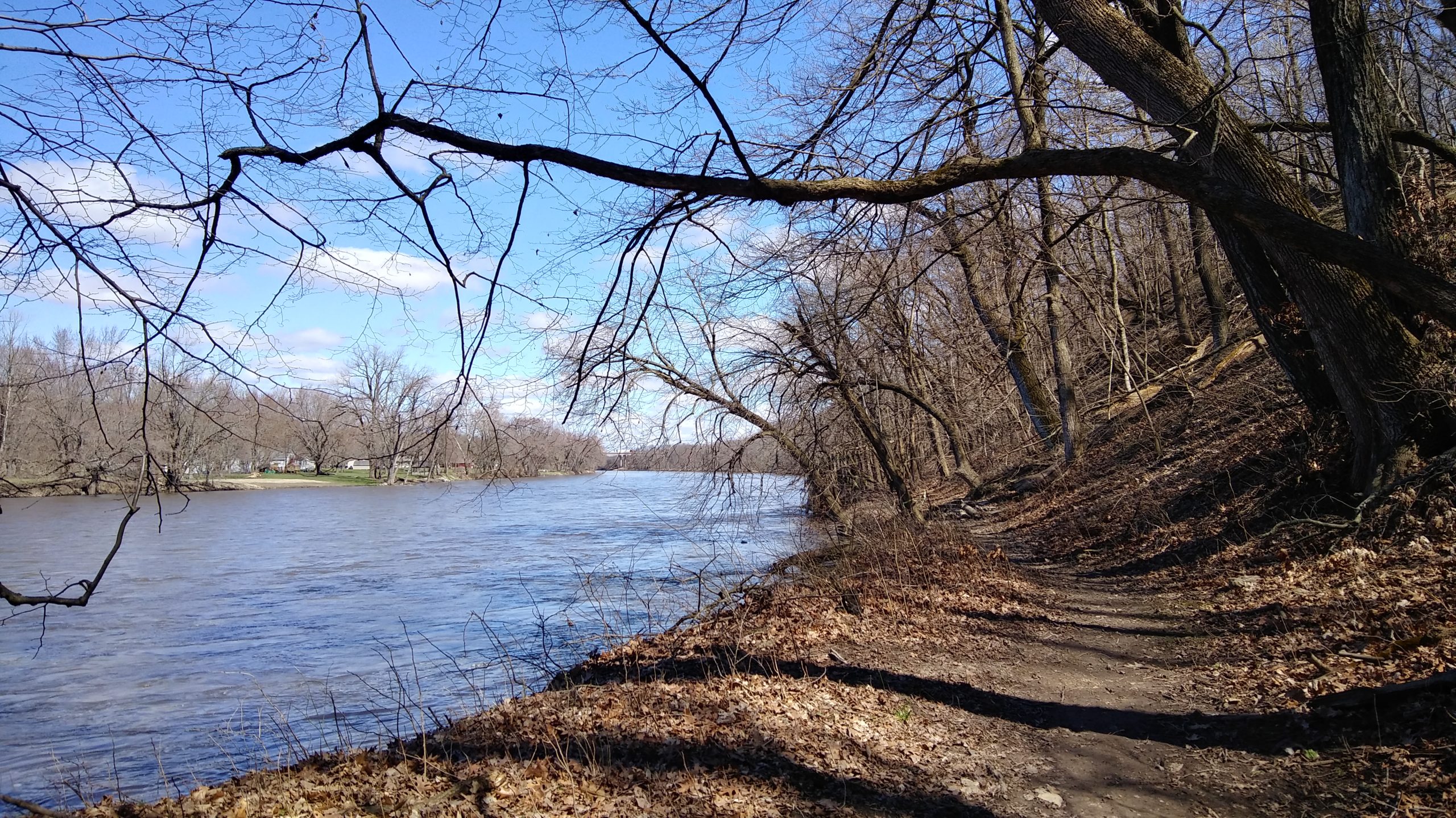 Out and About: A Nature Walk Photo Journal, Fountaindale Public Library