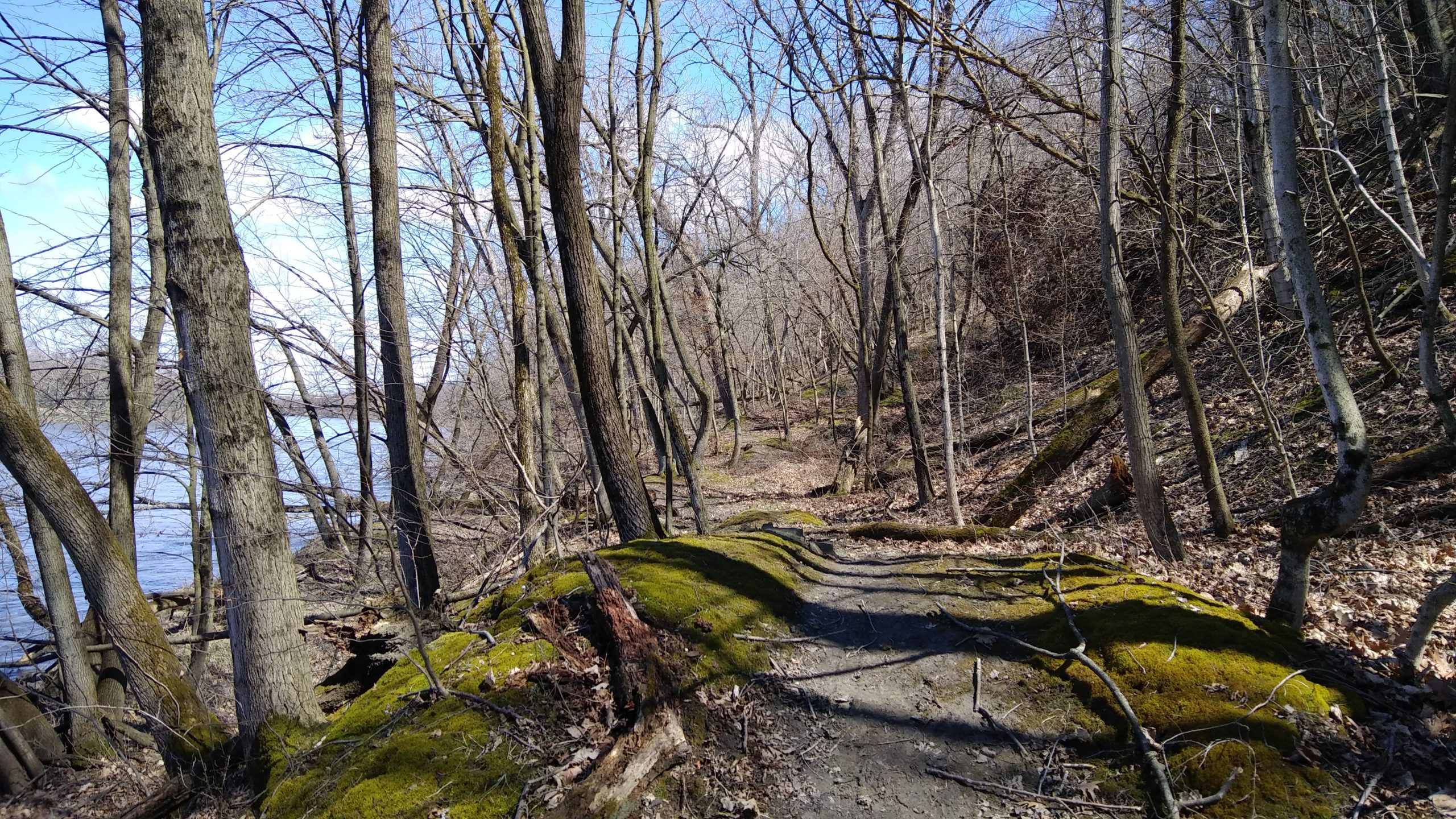 Out and About: A Nature Walk Photo Journal, Fountaindale Public Library