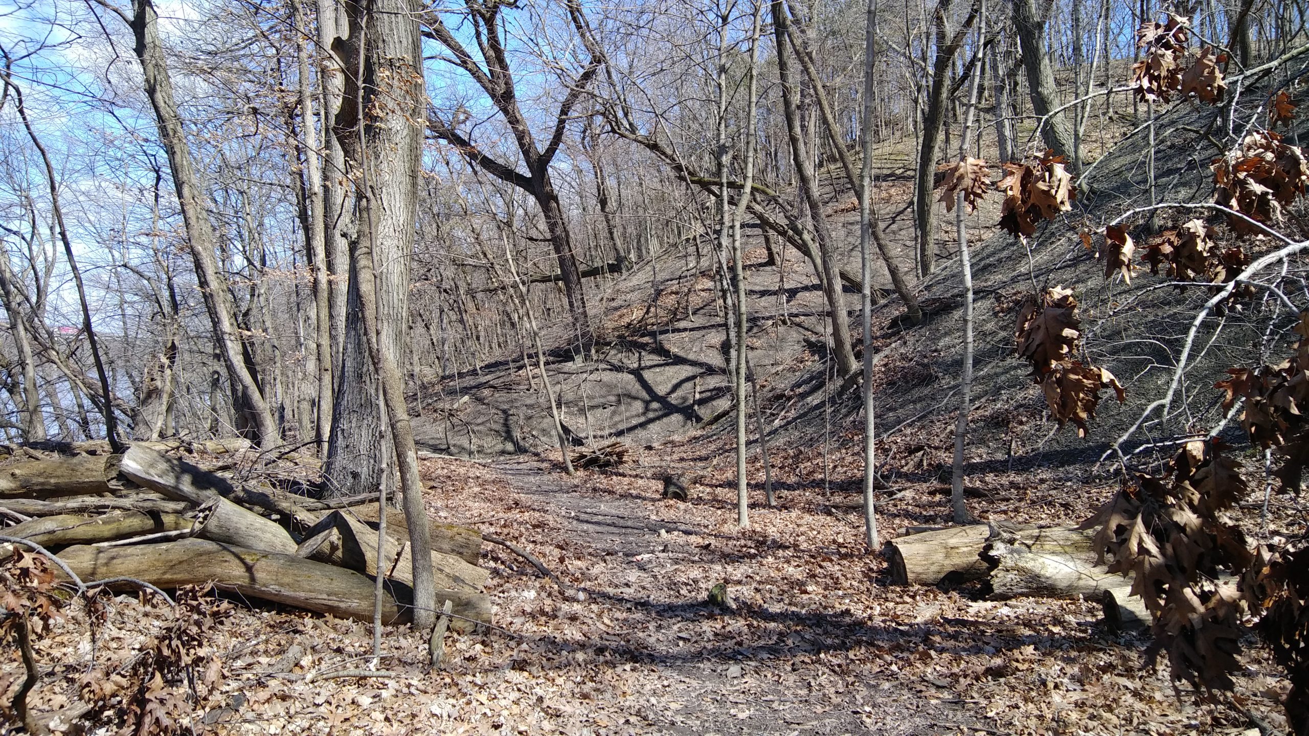 Out and About: A Nature Walk Photo Journal, Fountaindale Public Library