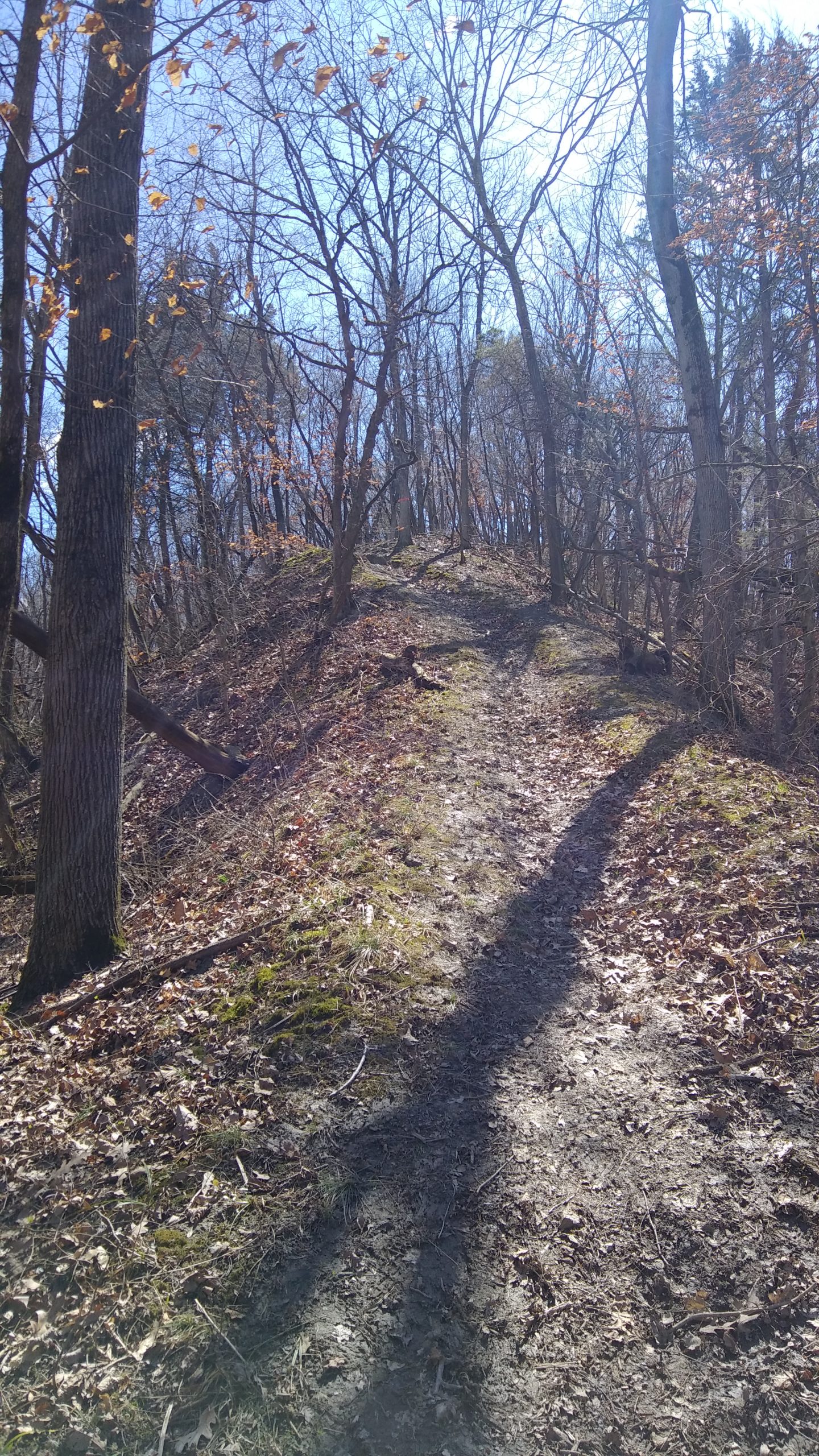 Out and About: A Nature Walk Photo Journal, Fountaindale Public Library