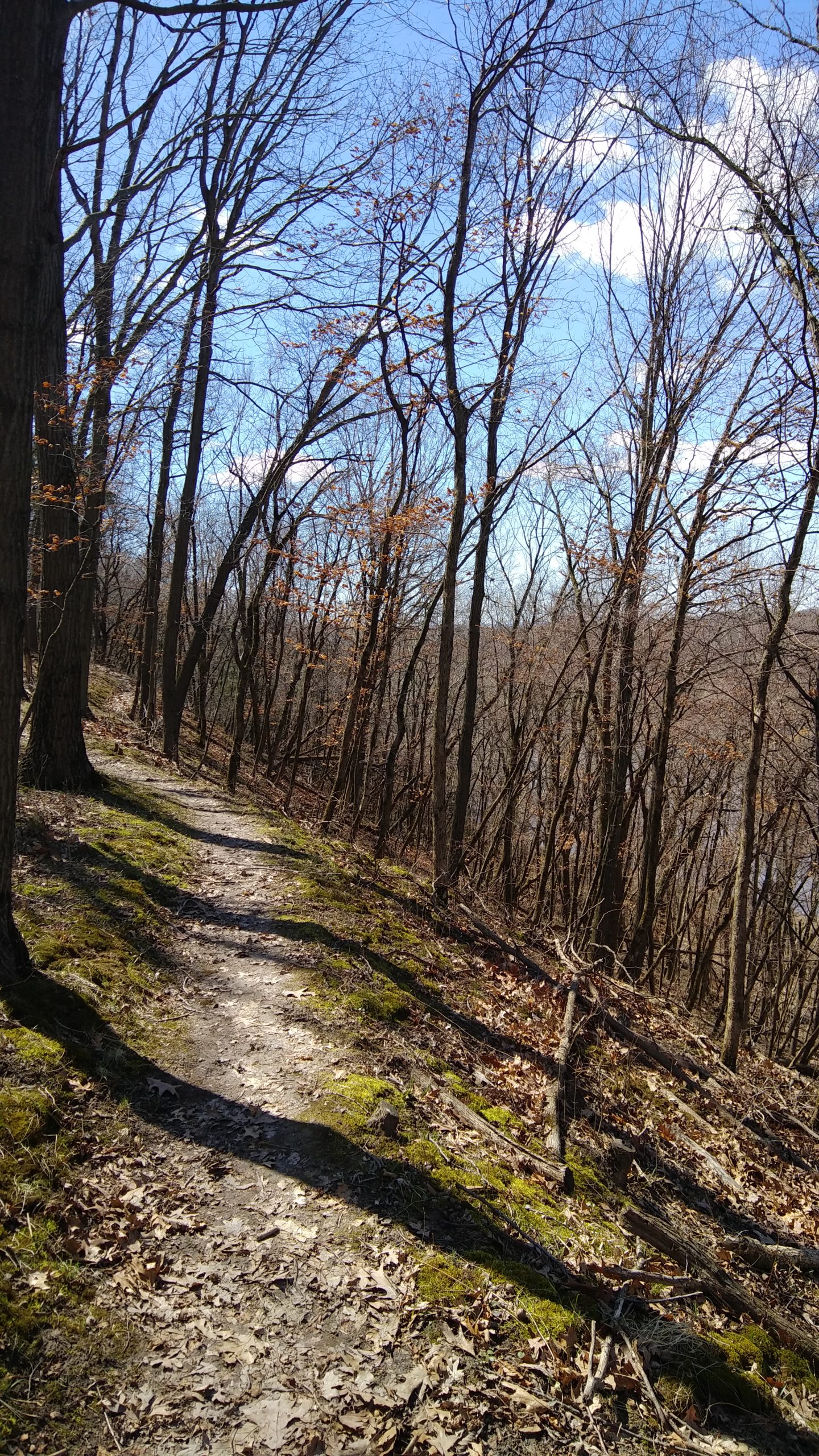 Out and About: A Nature Walk Photo Journal, Fountaindale Public Library