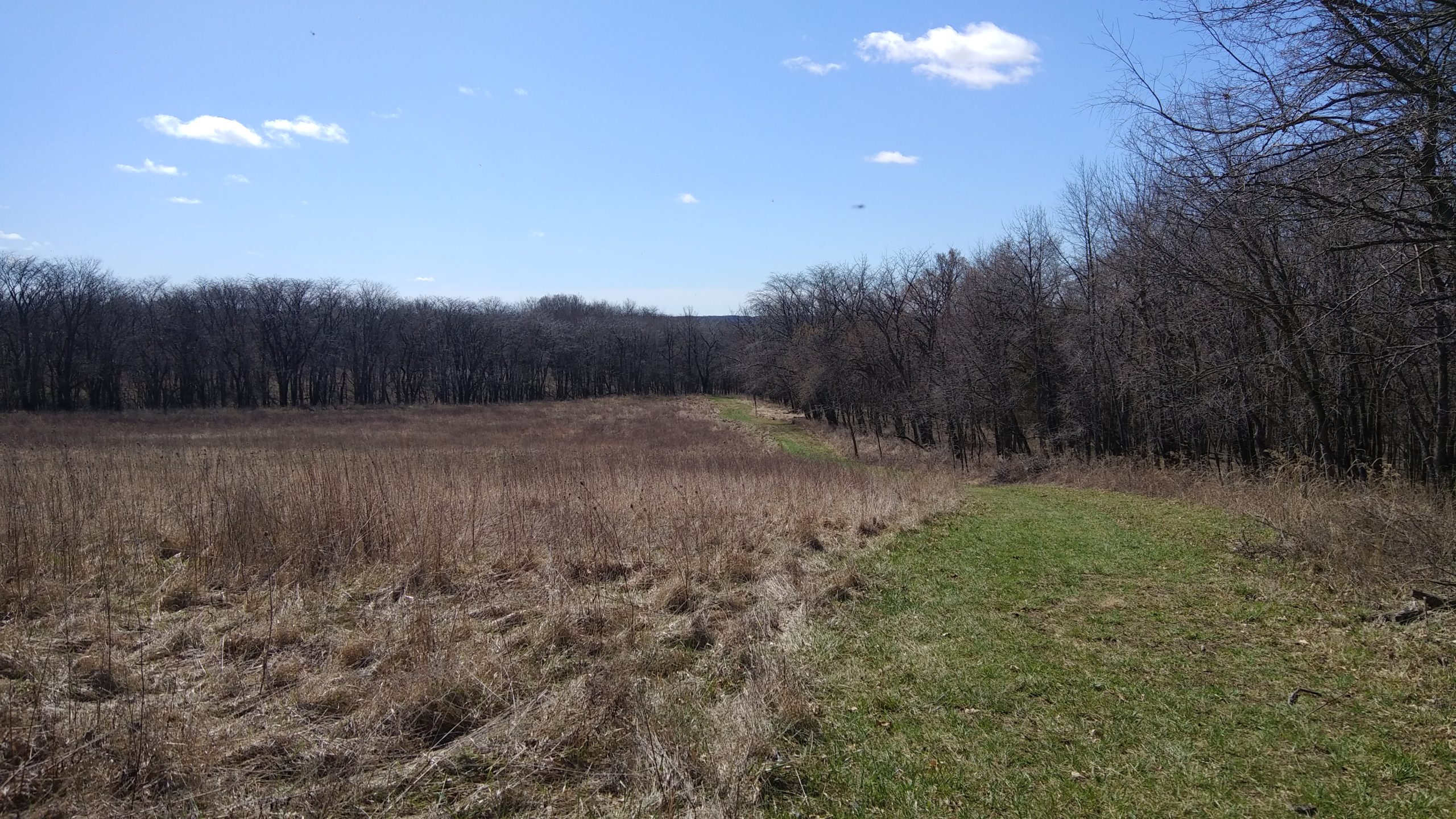 Out and About: A Nature Walk Photo Journal, Fountaindale Public Library