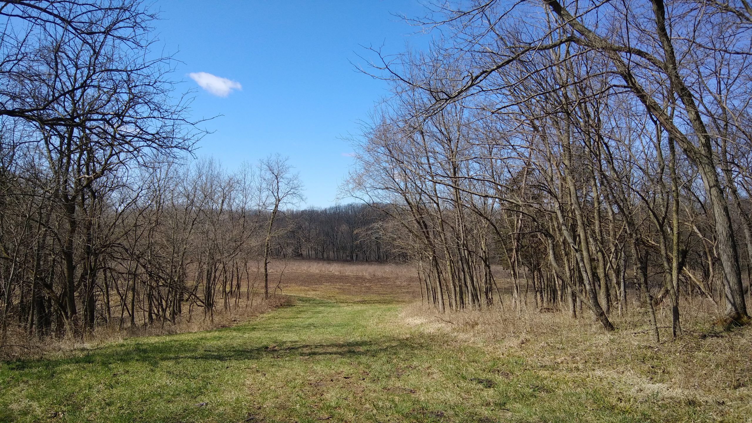 Out and About: A Nature Walk Photo Journal, Fountaindale Public Library