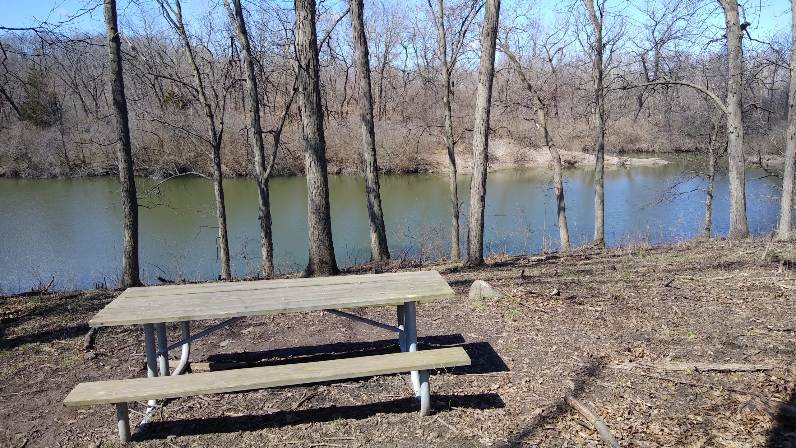 Out and About: A Nature Walk Photo Journal, Fountaindale Public Library