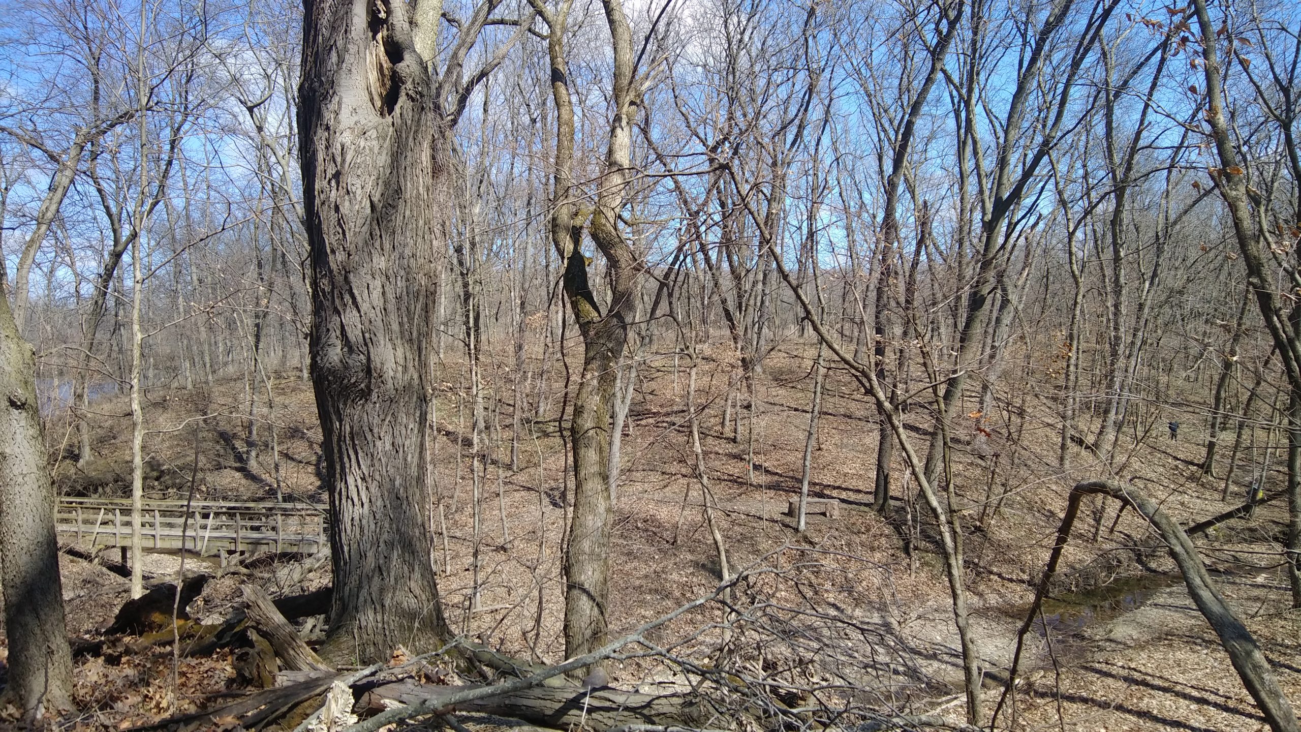 Out and About: A Nature Walk Photo Journal, Fountaindale Public Library