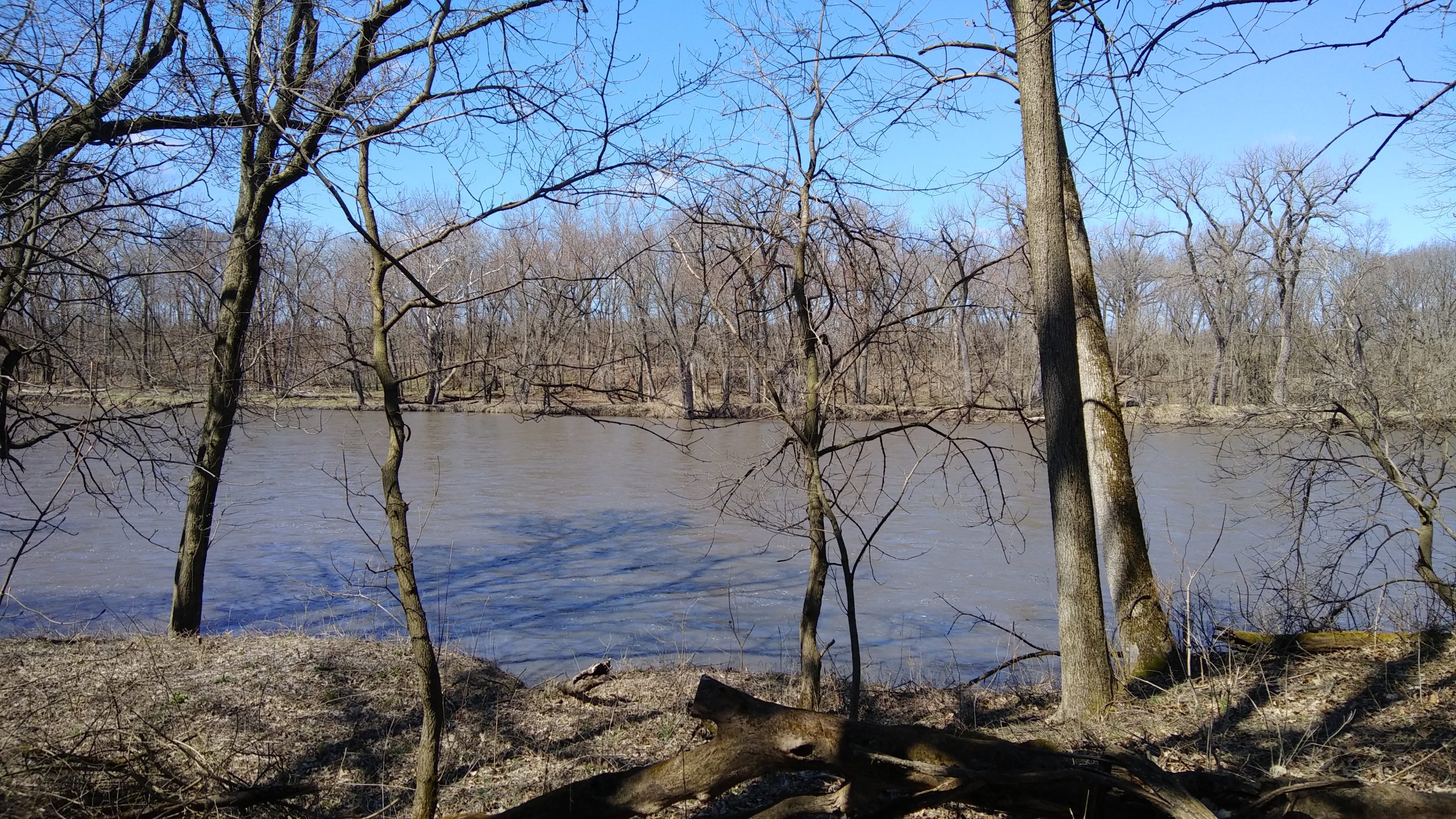 Out and About: A Nature Walk Photo Journal, Fountaindale Public Library