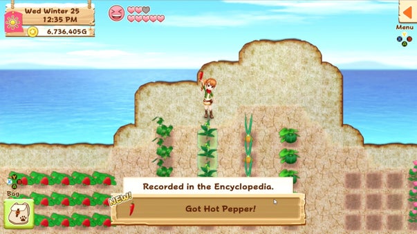 Video Game Recommendation: &#8220;Harvest Moon: Light Of Hope&#8221;, Fountaindale Public Library