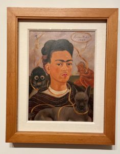 Children&#8217;s Books Celebrating Frida Kahlo and Her Art, Fountaindale Public Library