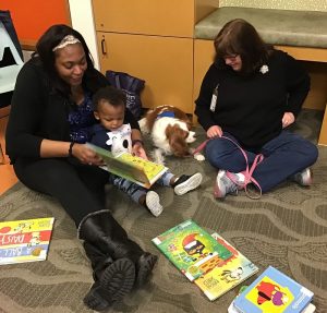 Five Practices of Early Literacy, Fountaindale Public Library