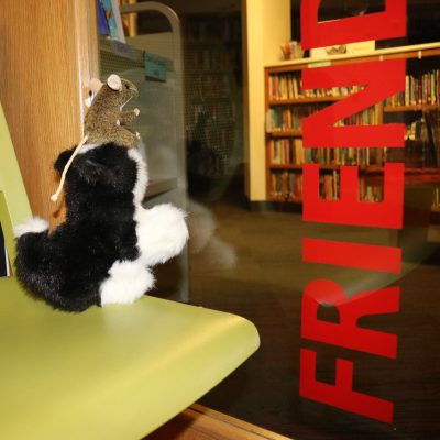 The Great Adventures of Michu Michu and Library Mouse