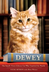 Death of A Pet: An Ode to Pumpkin, Fountaindale Public Library