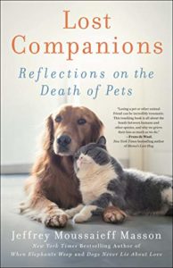 Death of A Pet: An Ode to Pumpkin, Fountaindale Public Library