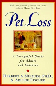Death of A Pet: An Ode to Pumpkin
