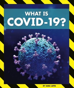 New Coronavirus Books for Kids, Fountaindale Public Library