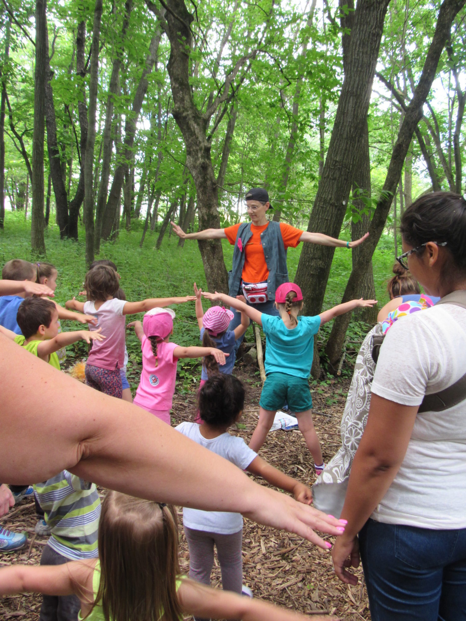 StoryWalk® Week: Celebrating StoryWalks and Story Strolls, Fountaindale Public Library