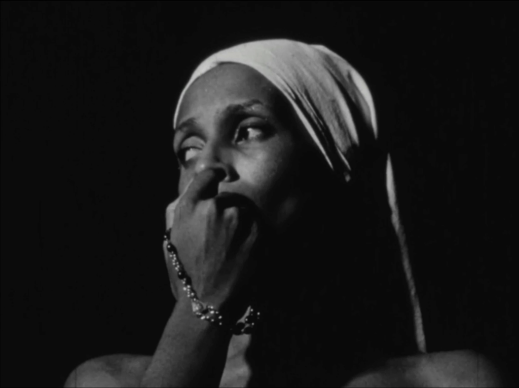 Julie Dash: Reinventing the Language of Film for Black Cinema, Fountaindale Public Library