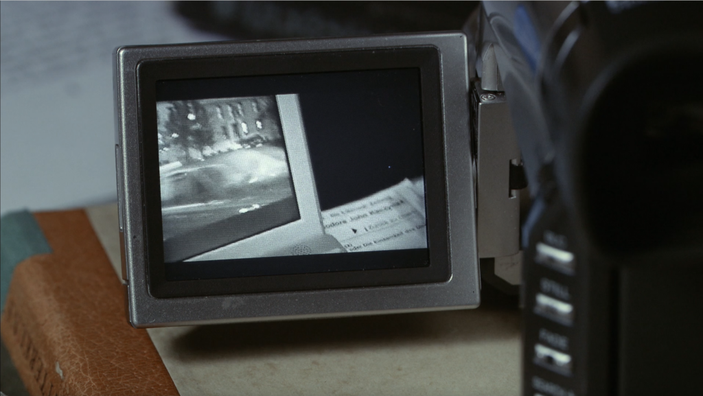 film still dpeciting a camcorder with its playback screen flipped out and playing a scene already recorded by the artist.