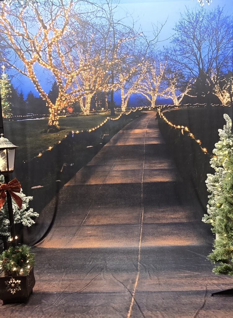 Family Winter Selfies 2025