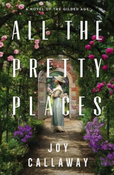 All the pretty places : a novel of the Gilded Age by Joy Callaway