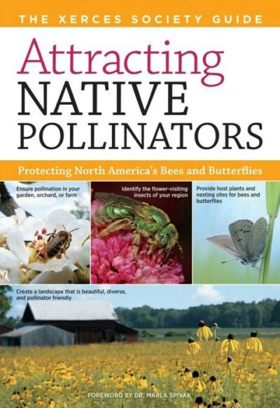 Be a Friend to the Bees: Protecting Pollinators and Rehoming Swarms