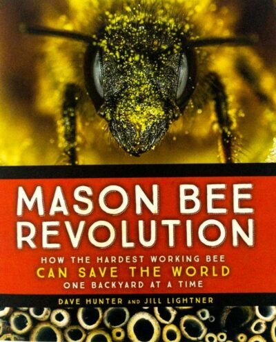 Be a Friend to the Bees: Protecting Pollinators and Rehoming Swarms