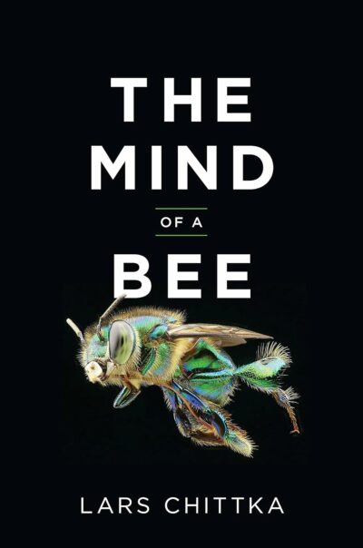 Be a Friend to the Bees: Protecting Pollinators and Rehoming Swarms