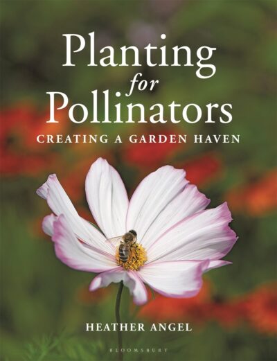 Be a Friend to the Bees: Protecting Pollinators and Rehoming Swarms