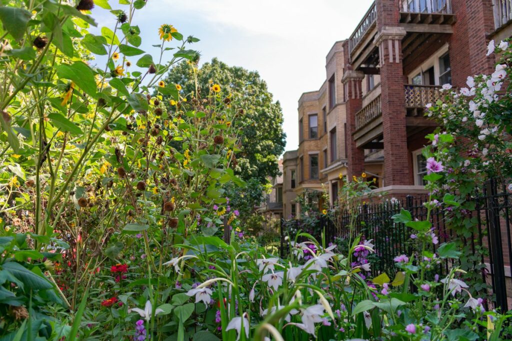 Be a Friend to the Bees: Protecting Pollinators and Rehoming Swarms