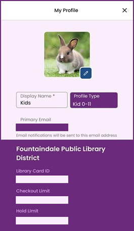 A Digital Library for All Ages, Fountaindale Public Library