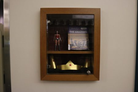 Show &#038; Tell Display Case, Fountaindale Public Library