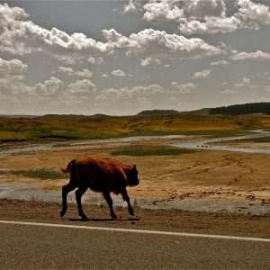 Fire on the Plains by Patrick