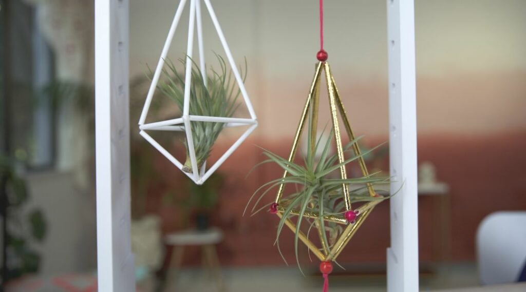 Two geometric hanging planters with air plants, one white and one gold, suspended in front of a blurred indoor background.