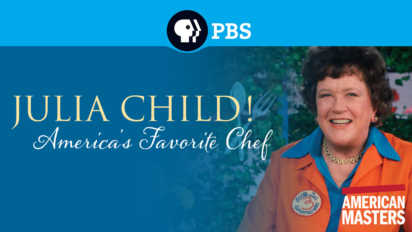 Movie Review: Julia Child: America&#8217;s Favorite Chef, Fountaindale Public Library