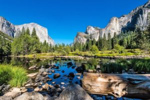 Virtual Activity Kits for Seniors, Fountaindale Public Library