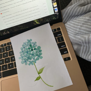 Creativebug and Watercolor Painting, Fountaindale Public Library