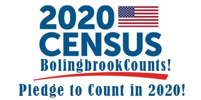 The Census Counts!  Complete Your Return Online or by Phone!, Fountaindale Public Library