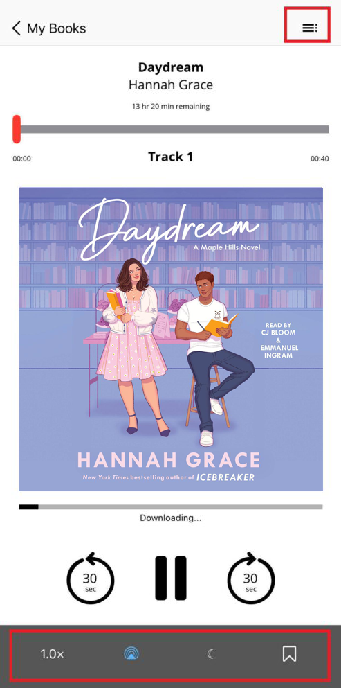 The Palace Project: Your New Home for EBooks and Audiobooks