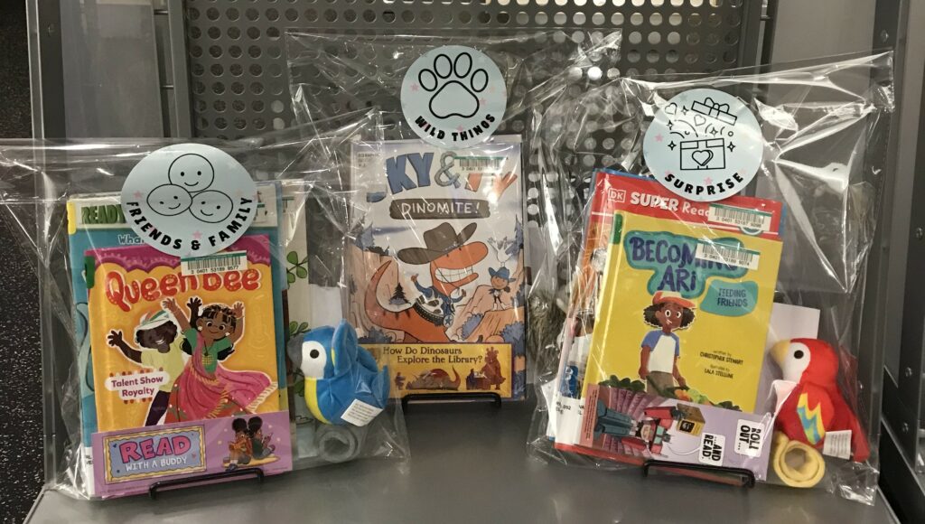 three bundles of books and treats