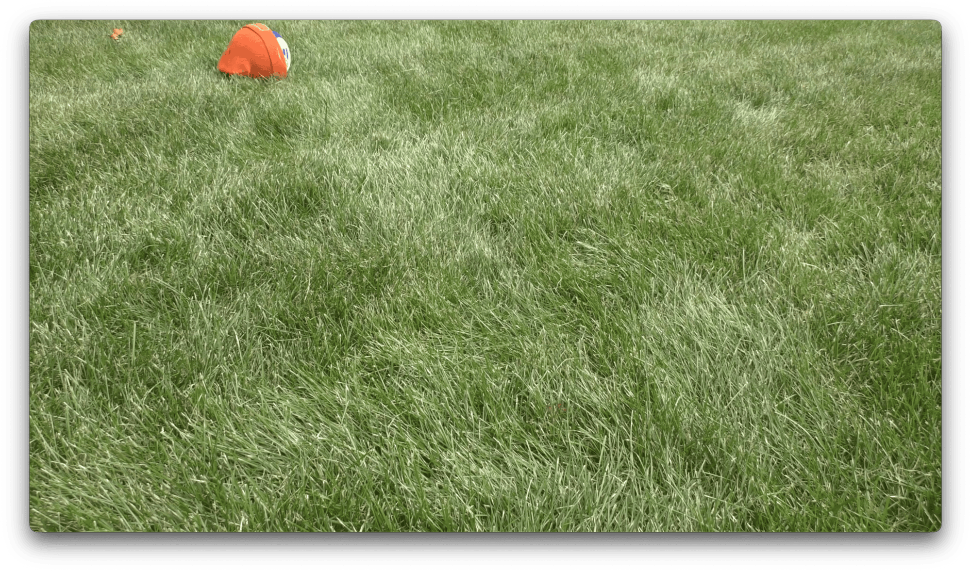 An orange beanie wrapped around a blue and white soccer ball lies on a grassy field near the upper left corner of the image.